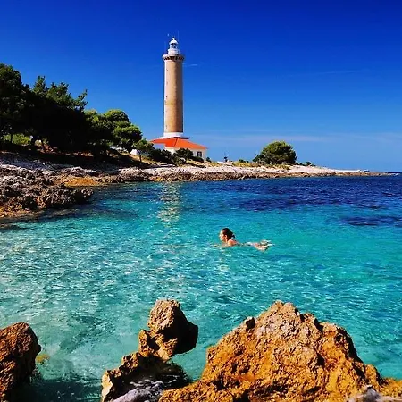 Holiday * Veli Rat