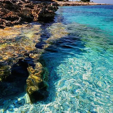 Holiday * Veli Rat