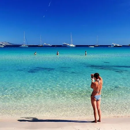 Holiday * Veli Rat