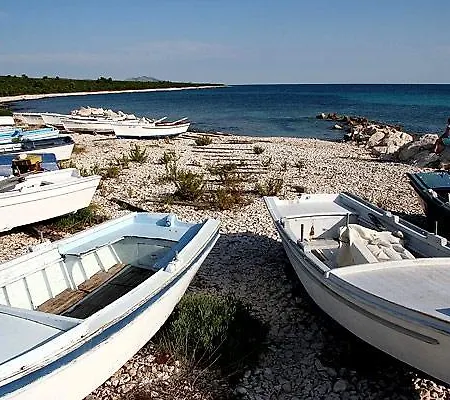 Vakantiehuis Holiday *
