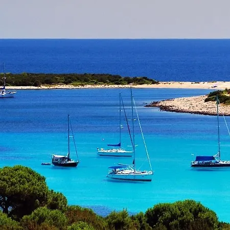 Holiday * Veli Rat