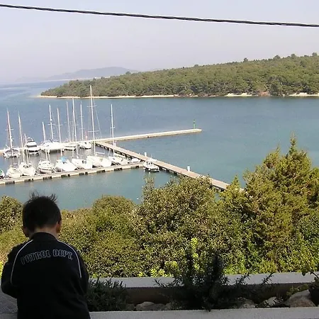 Holiday * Veli Rat