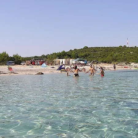 Holiday * Veli Rat