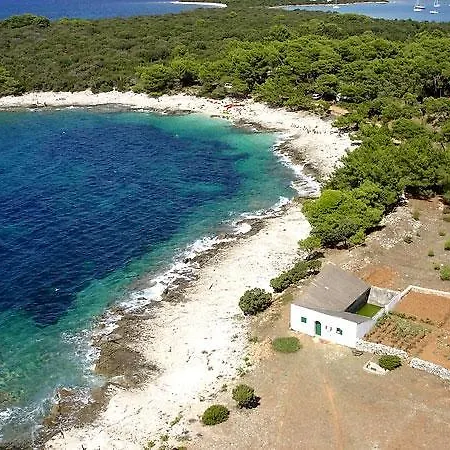 Holiday * Veli Rat